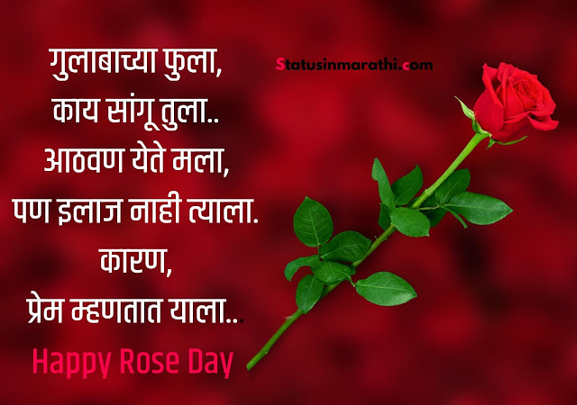 Rose day wishes-sms-status Marathi